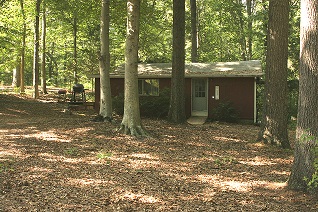Cabin 16